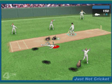 флеш игра Jast Not Cricket / Не Крикет!