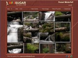 Forest Waterfall