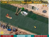 Сitysurfing / СитиСерфинг